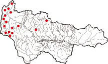 Карта