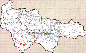 Карта