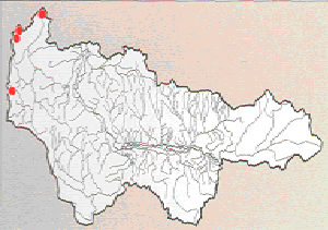 Карта
