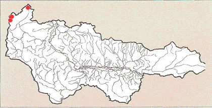 Карта