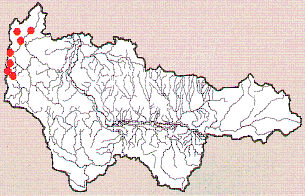 Карта