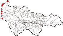 Карта