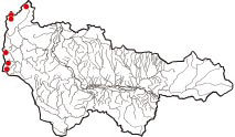 Карта