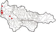 Карта