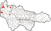Карта