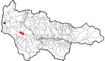 Карта