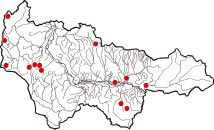 Карта