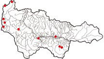Карта