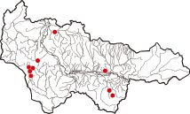 Карта