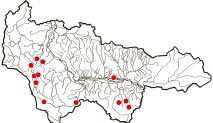 Карта