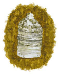 Фомитопсис лекарственный  - 1